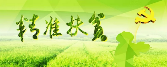 源碼助力來賓精準(zhǔn)扶貧，點亮新寨村幸福之路